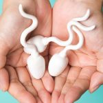 10 fakta om spermier att dela med dina vänner