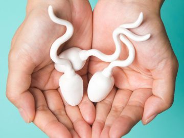 10 fakta om spermier att dela med dina vänner