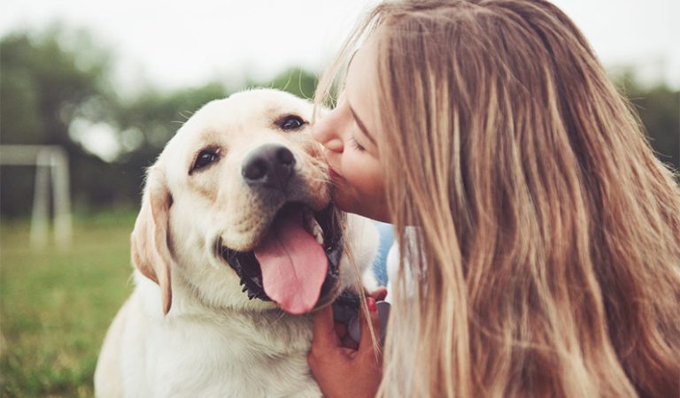 Allt du behöver veta om hundar: 10 spännande fakta