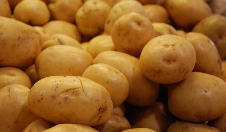 10 knöliga fakta du antagligen inte visste om potatis