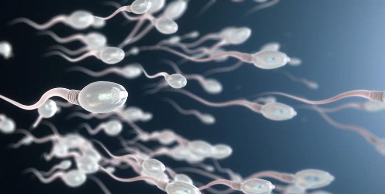 En sperma kan överleva i en kvinnas reproduktionssystem i ungefär fem dagar…