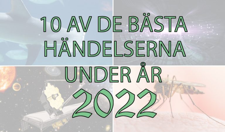 10 av de bästa händelserna under år 2022