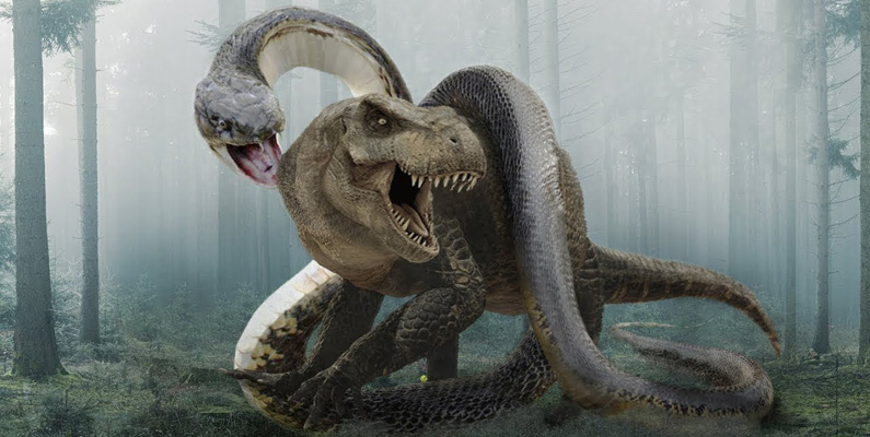 Titanoboa – som betyder "titanisk boa" – är ett utdött släkte av orm som levde för cirka 60 – 58 miljoner år sedan. Forskare uppskattar att den hade en total längd på cirka 12,8 m och vägde cirka 1 130 kilo. Den var längre än Tyrannosaurus Rex, dock med en matchande aptit. Titanoboa strövade omkring i Columbias träsk och träskmarker.