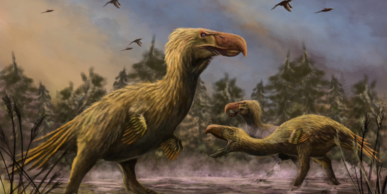 Även om Kelenkens (även känd som "Winged deity") vingar inte ens var tillräckligt stora för att låta dem flyga, var de gudalika i sin grymhet och snabbhet. Den största av alla phorusrhacider, Kelenken, strövade omkring i Sydamerika och härskade med järnhand, ungefär som deras dinosaurieförfäder. Dess skalle ensam växte nära en meter och dess näbb var vass och krokig, vilket gjorde att den kunde slå sitt byte till underkastelse.