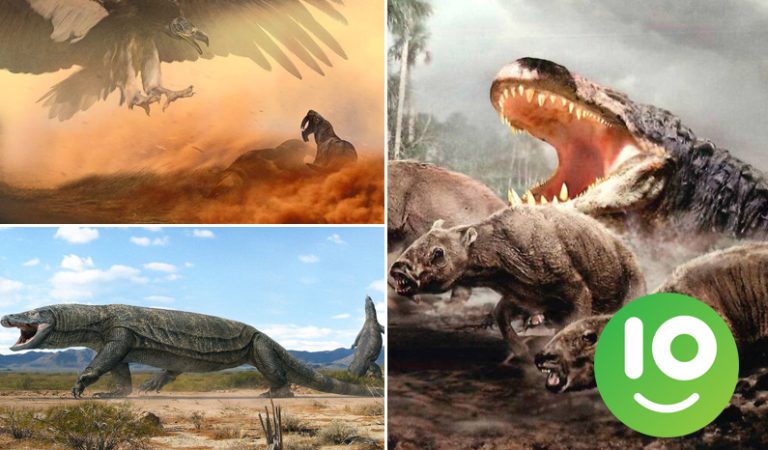 10 gigantiska djur som levde efter dinosaurierna