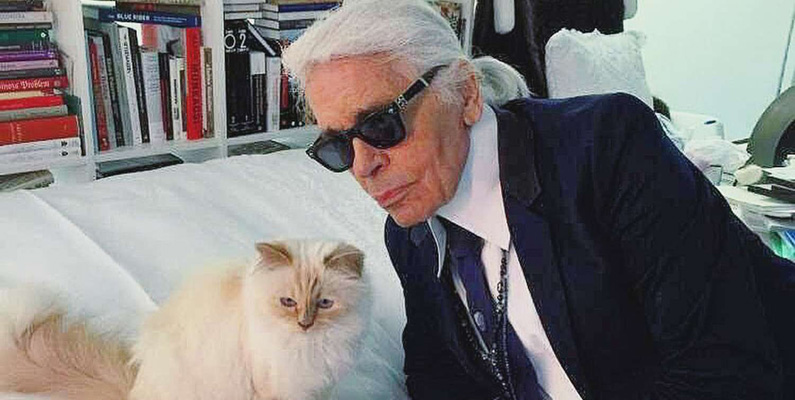 En annan känd Brittiskt korthår-katt är Choupette, modedesignern Karl Lagerfelds älskade katt. Choupette var känd för att ha en särskilt lyxig livsstil och har till och med varit modell för olika lyxvarumärken.