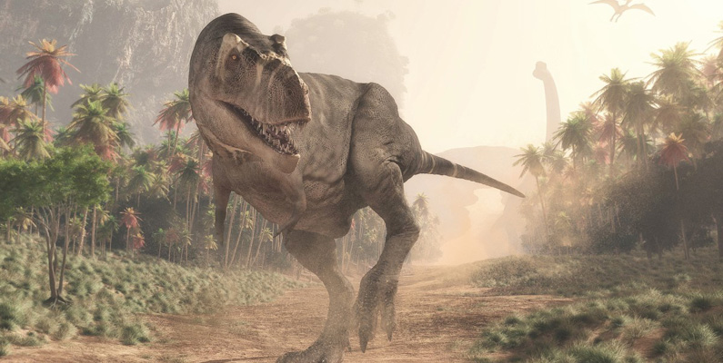 Så många tänder hade en Tyrannosaurus Rex…