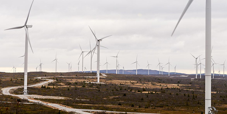 Så stor del av Sveriges elproduktion kommer från vindkraftverk…