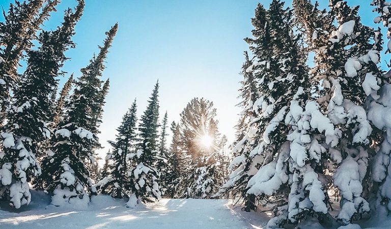 10 fakta du antagligen inte visste om vinter