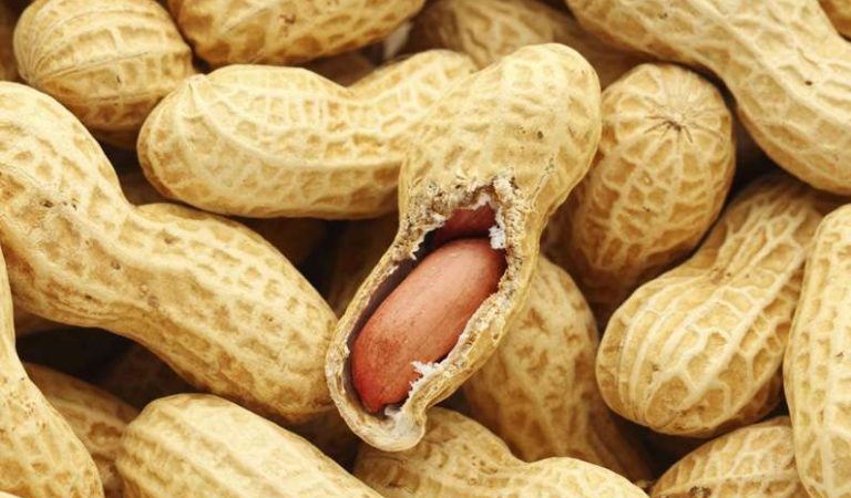 10 fakta du antagligen inte visste om jordnötter