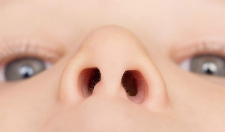 10 fakta du antagligen inte visste om din näsa