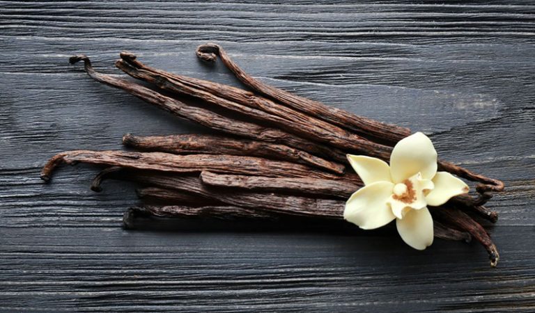 10 smaskiga fakta du antagligen inte visste om vanilj
