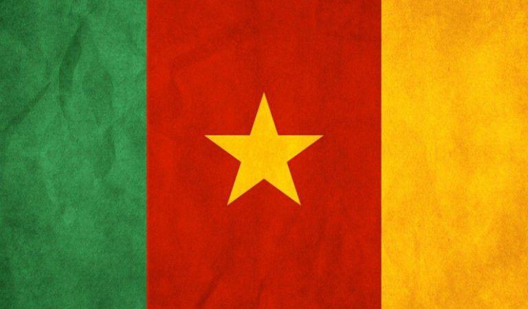 10 fakta du antagligen inte visste om Kamerun