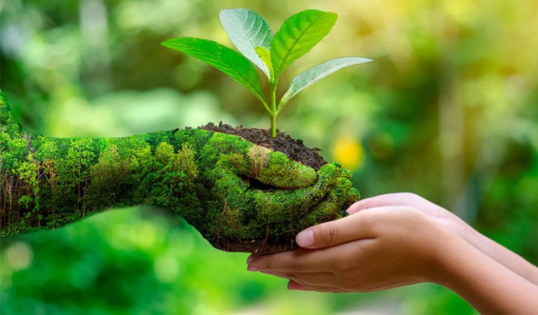 10 viktiga fakta om miljön som alla borde känna till