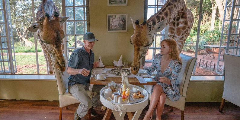 Håll i din hotellfrukost – annars äter girafferna upp den!