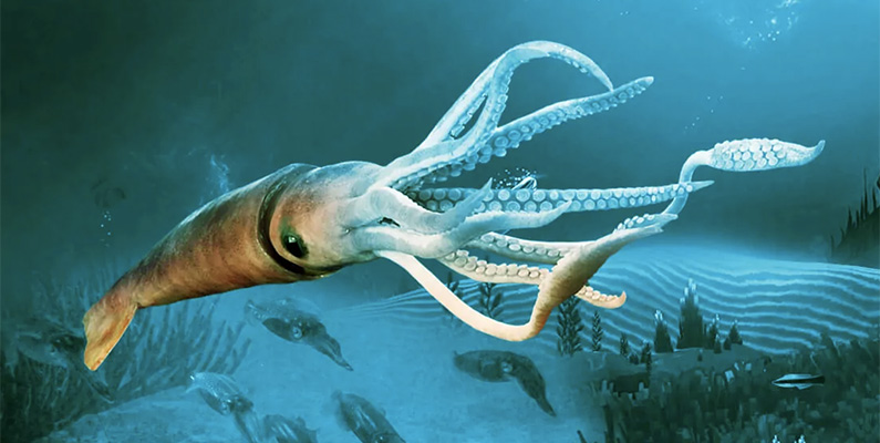 I evigheter trodde forskare att berättelserna om gigantiska bläckfiskar som lever i havet var en myt. Men väldigt nyligen, nämligen så sent som 2012, fångades livebilder av en gigantisk jättebläckfisk som förvandlade myter till verklighet.