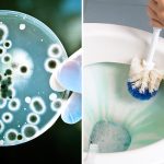 10 saker som du aldrig skulle tro är betydligt smutsigare än din toalett