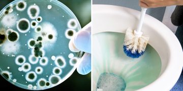 10 saker som du aldrig skulle tro är betydligt smutsigare än din toalett