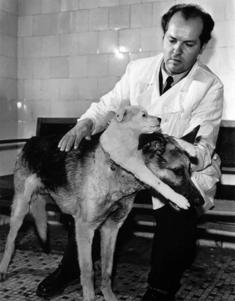 10 till synes vanliga bilder med riktigt läskiga och störande bakgrundshistorier. #8) Bilden som man önskar bara var ett fotomontage: Den sovjetiska vetenskapsmannen och hans tvåhövdade hund…