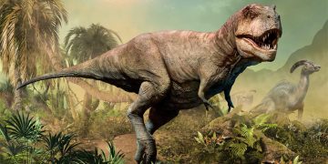 10 fakta du antagligen inte visste om Tyrannosaurus Rex