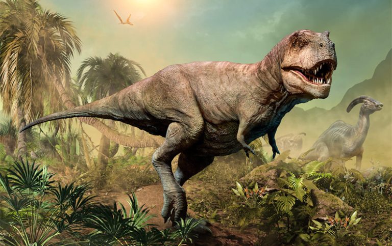 10 fakta du antagligen inte visste om Tyrannosaurus Rex