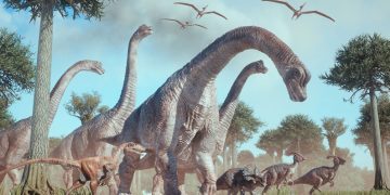 10 stora mysterier om dinosaurier som vi vill ha svar på