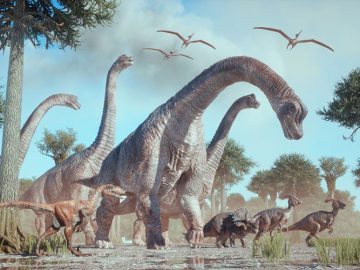 10 stora mysterier om dinosaurier som vi vill ha svar på