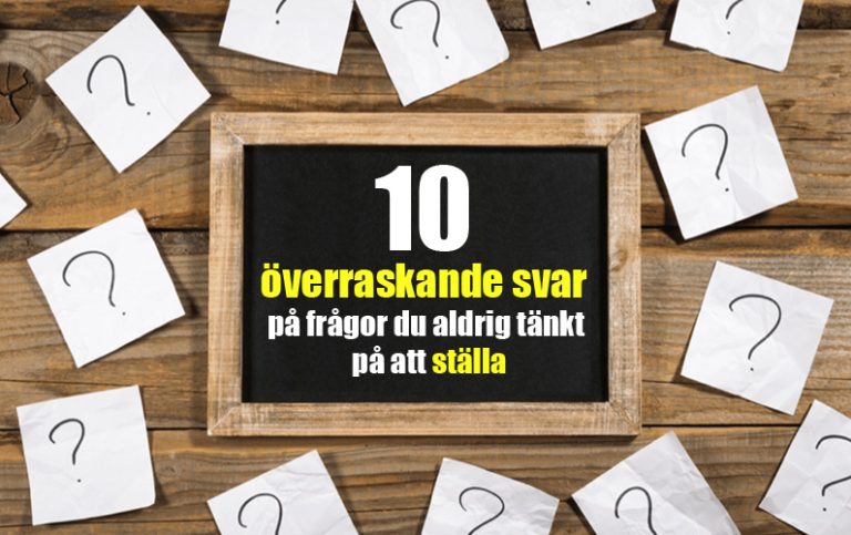 10 överraskande svar på frågor du aldrig tänkt på att ställa