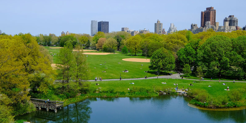 Det finns ingen brist på fritidsaktiviteter i Central Park…