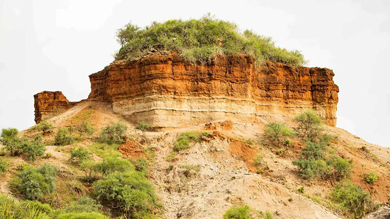 Vid Olduvai Gorge i Tanzania har man funnit mänskliga fossiler som går tillbaka miljontals år…