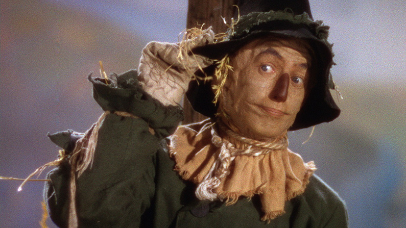 Ray Bolger såg ut som en fågelskrämma i upp till ett år efter att filmen var färdiginspelad…