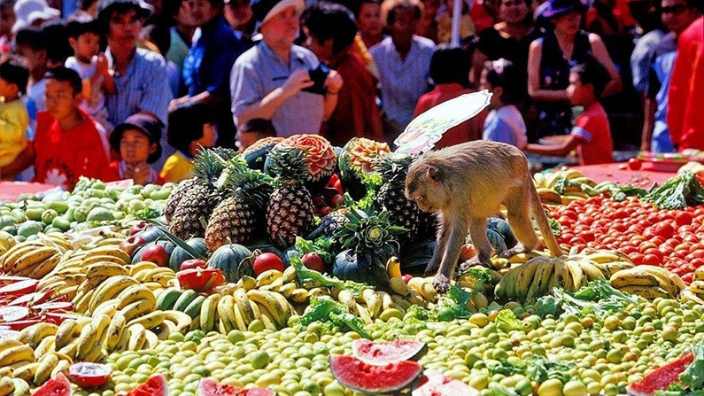 10 av världens märkligaste festivaler
#3: Monkey Buffet Festival