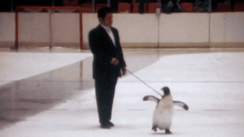 Pittsburgh Penguins hade en levande maskot vid namn Penguin Pete på 1960-talet…