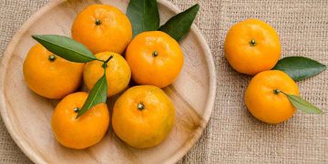 Saftig kunskap! 10 fakta om satsuma som får dig att le