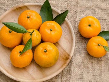 Saftig kunskap! 10 fakta om satsuma som får dig att le