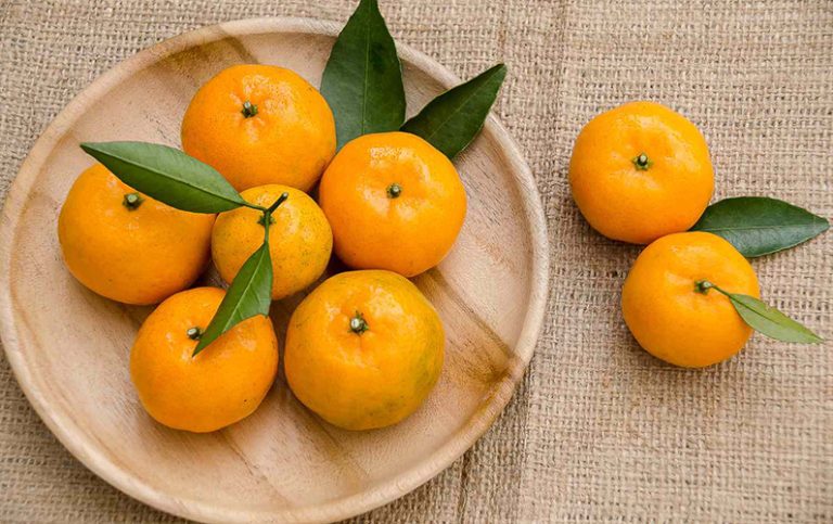 Saftig kunskap! 10 fakta om satsuma som får dig att le